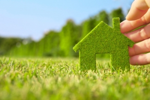 Houses Are Going Green: Home Remodeling Using Eco-Friendly Materials